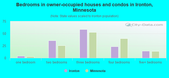 Bedrooms in owner-occupied houses and condos in Ironton, Minnesota