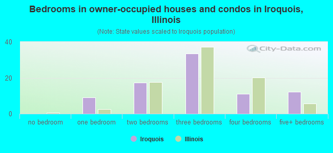 Bedrooms in owner-occupied houses and condos in Iroquois, Illinois