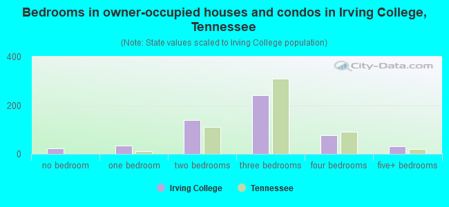 Bedrooms in owner-occupied houses and condos in Irving College, Tennessee