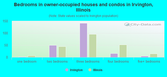 Bedrooms in owner-occupied houses and condos in Irvington, Illinois