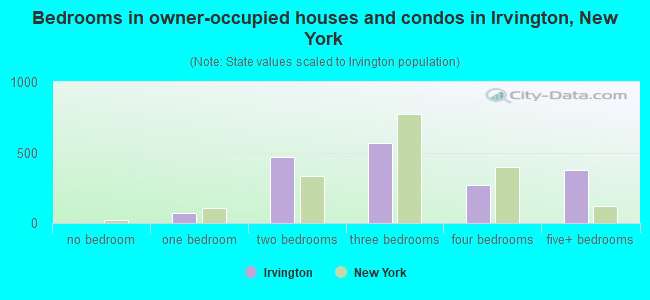 Bedrooms in owner-occupied houses and condos in Irvington, New York