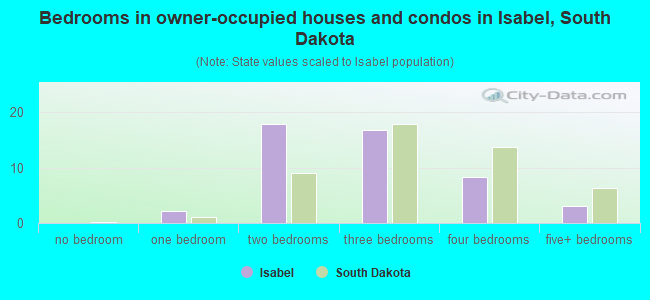 Bedrooms in owner-occupied houses and condos in Isabel, South Dakota