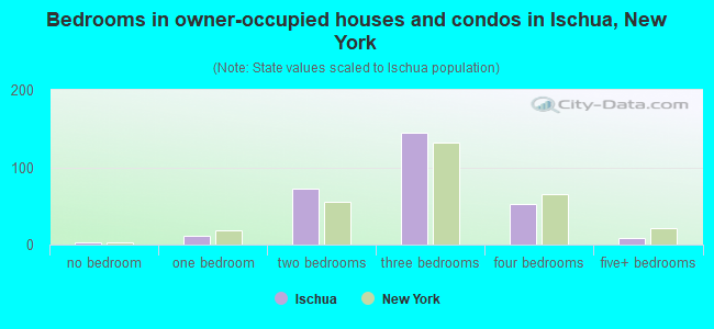 Bedrooms in owner-occupied houses and condos in Ischua, New York