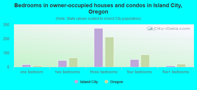 Bedrooms in owner-occupied houses and condos in Island City, Oregon