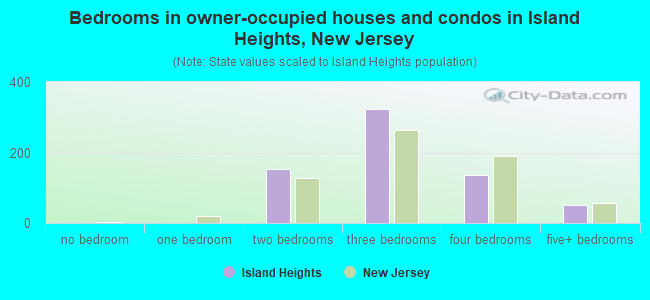 Bedrooms in owner-occupied houses and condos in Island Heights, New Jersey