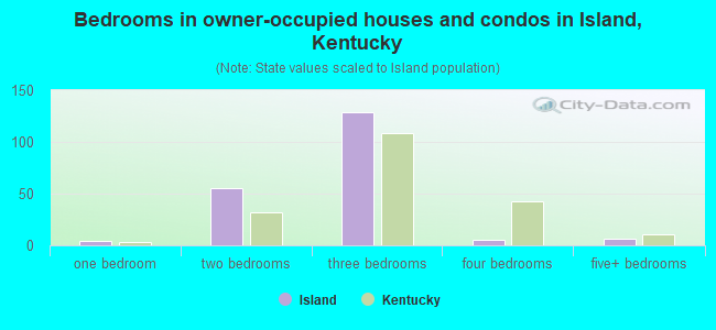 Bedrooms in owner-occupied houses and condos in Island, Kentucky