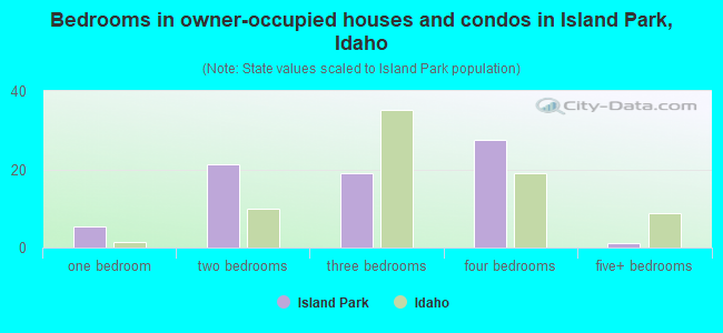 Bedrooms in owner-occupied houses and condos in Island Park, Idaho
