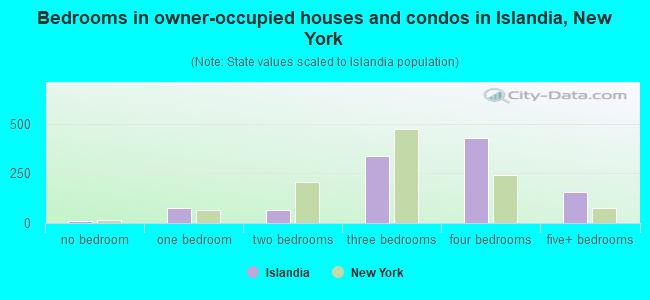 Bedrooms in owner-occupied houses and condos in Islandia, New York