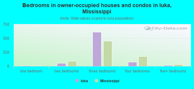 Bedrooms in owner-occupied houses and condos in Iuka, Mississippi