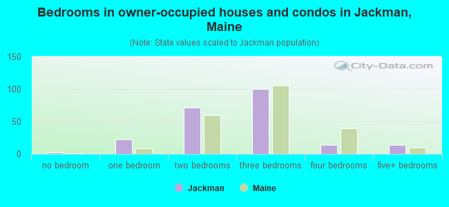 Bedrooms in owner-occupied houses and condos in Jackman, Maine