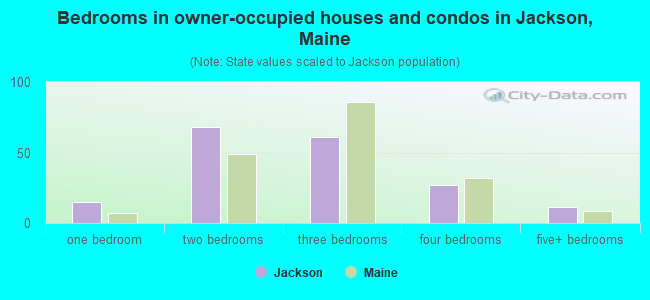 Bedrooms in owner-occupied houses and condos in Jackson, Maine