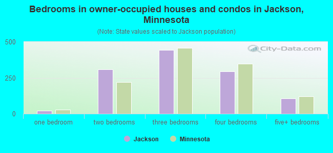 Bedrooms in owner-occupied houses and condos in Jackson, Minnesota