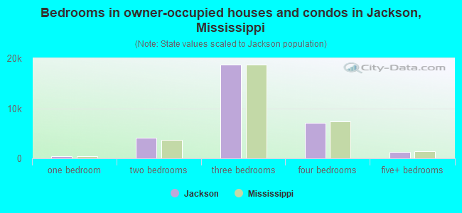 Bedrooms in owner-occupied houses and condos in Jackson, Mississippi