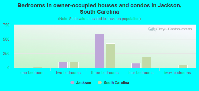 Bedrooms in owner-occupied houses and condos in Jackson, South Carolina