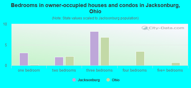 Bedrooms in owner-occupied houses and condos in Jacksonburg, Ohio