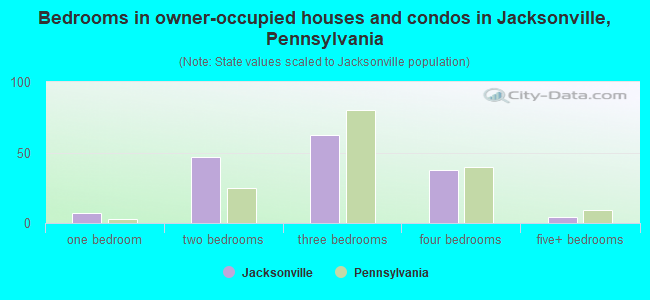 Bedrooms in owner-occupied houses and condos in Jacksonville, Pennsylvania