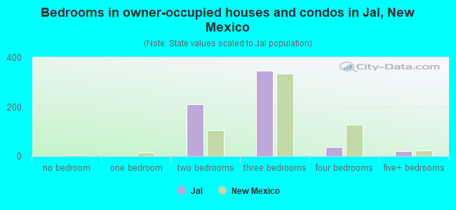 Bedrooms in owner-occupied houses and condos in Jal, New Mexico