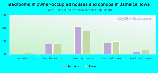 Bedrooms in owner-occupied houses and condos in Jamaica, Iowa