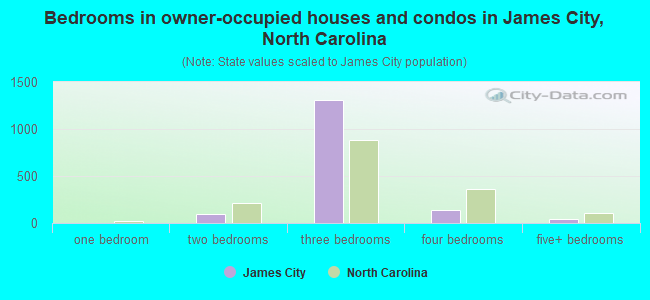 Bedrooms in owner-occupied houses and condos in James City, North Carolina