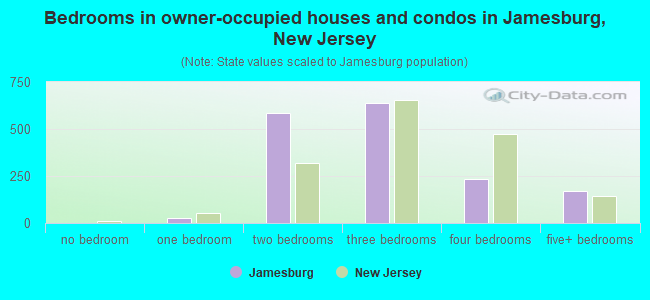 Bedrooms in owner-occupied houses and condos in Jamesburg, New Jersey