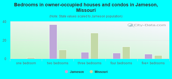 Bedrooms in owner-occupied houses and condos in Jameson, Missouri