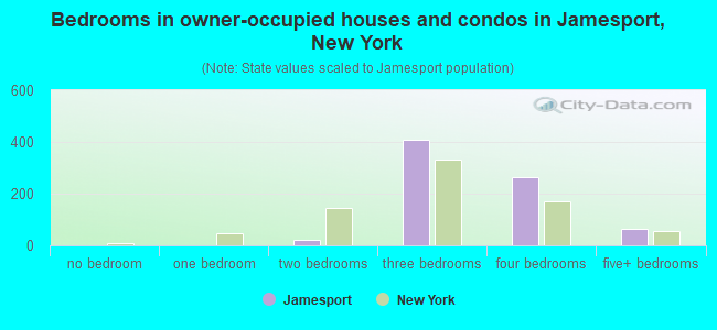 Bedrooms in owner-occupied houses and condos in Jamesport, New York