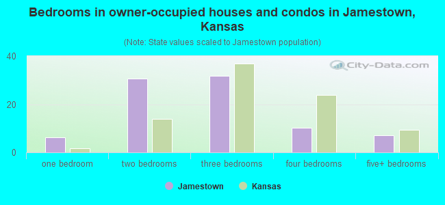 Bedrooms in owner-occupied houses and condos in Jamestown, Kansas