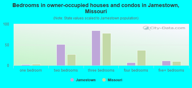 Bedrooms in owner-occupied houses and condos in Jamestown, Missouri