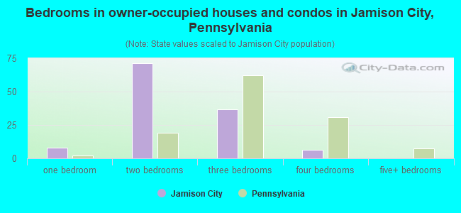 Bedrooms in owner-occupied houses and condos in Jamison City, Pennsylvania