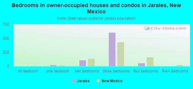 Bedrooms in owner-occupied houses and condos in Jarales, New Mexico