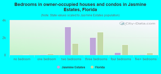 Bedrooms in owner-occupied houses and condos in Jasmine Estates, Florida