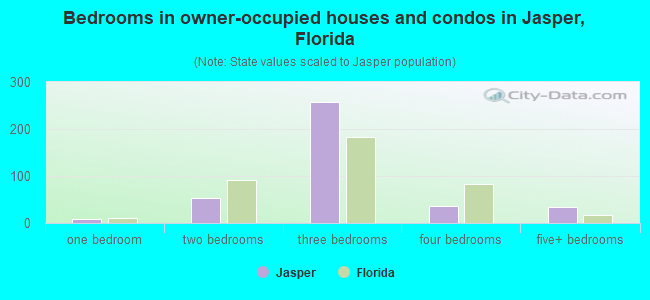 Bedrooms in owner-occupied houses and condos in Jasper, Florida