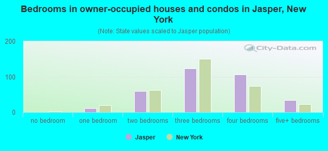 Bedrooms in owner-occupied houses and condos in Jasper, New York
