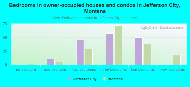 Bedrooms in owner-occupied houses and condos in Jefferson City, Montana