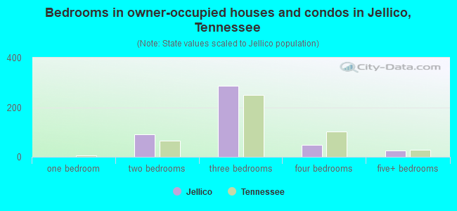 Bedrooms in owner-occupied houses and condos in Jellico, Tennessee