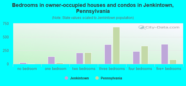 Bedrooms in owner-occupied houses and condos in Jenkintown, Pennsylvania