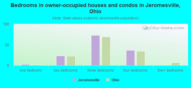 Bedrooms in owner-occupied houses and condos in Jeromesville, Ohio