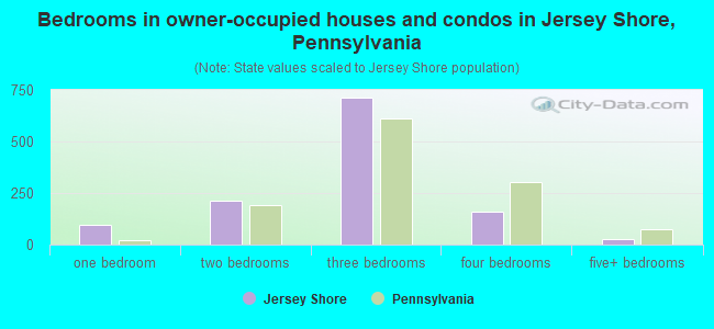Bedrooms in owner-occupied houses and condos in Jersey Shore, Pennsylvania