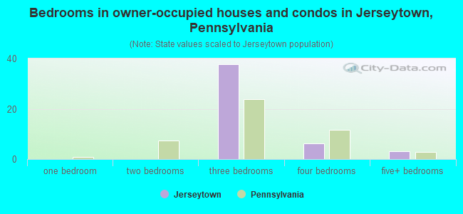 Bedrooms in owner-occupied houses and condos in Jerseytown, Pennsylvania