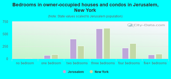Bedrooms in owner-occupied houses and condos in Jerusalem, New York