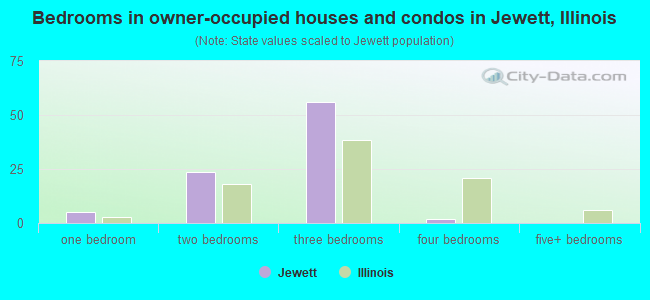 Bedrooms in owner-occupied houses and condos in Jewett, Illinois