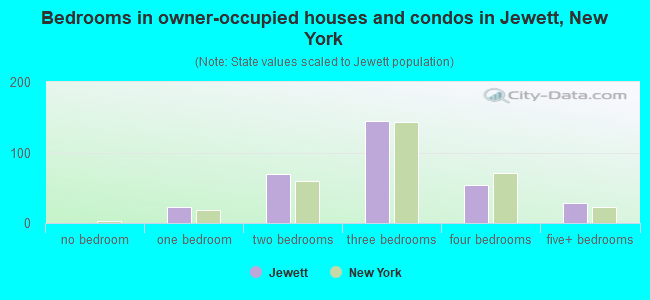 Bedrooms in owner-occupied houses and condos in Jewett, New York