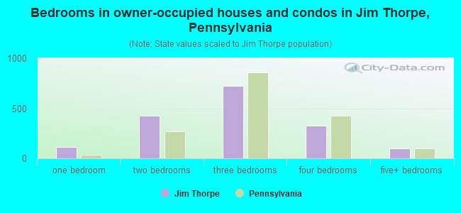 Bedrooms in owner-occupied houses and condos in Jim Thorpe, Pennsylvania
