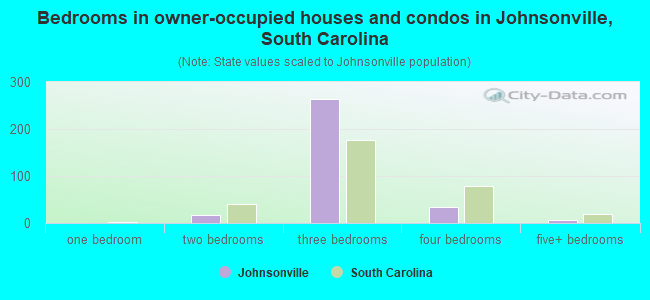 Bedrooms in owner-occupied houses and condos in Johnsonville, South Carolina