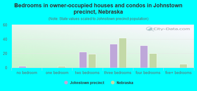 Bedrooms in owner-occupied houses and condos in Johnstown precinct, Nebraska