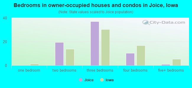Bedrooms in owner-occupied houses and condos in Joice, Iowa
