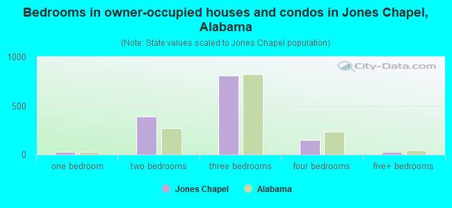 Bedrooms in owner-occupied houses and condos in Jones Chapel, Alabama