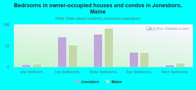 Bedrooms in owner-occupied houses and condos in Jonesboro, Maine