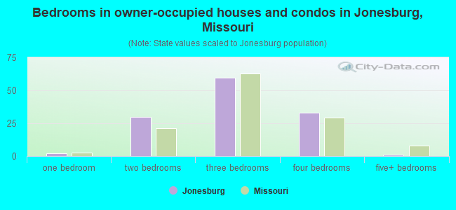 Bedrooms in owner-occupied houses and condos in Jonesburg, Missouri