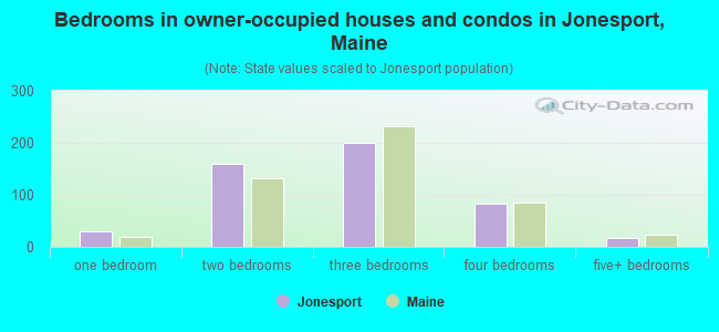 Bedrooms in owner-occupied houses and condos in Jonesport, Maine
